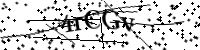 Por favor, escriba las letras y números a continuación