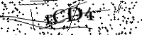 Por favor, escriba las letras y números a continuación