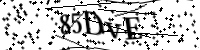 Por favor, escriba las letras y números a continuación